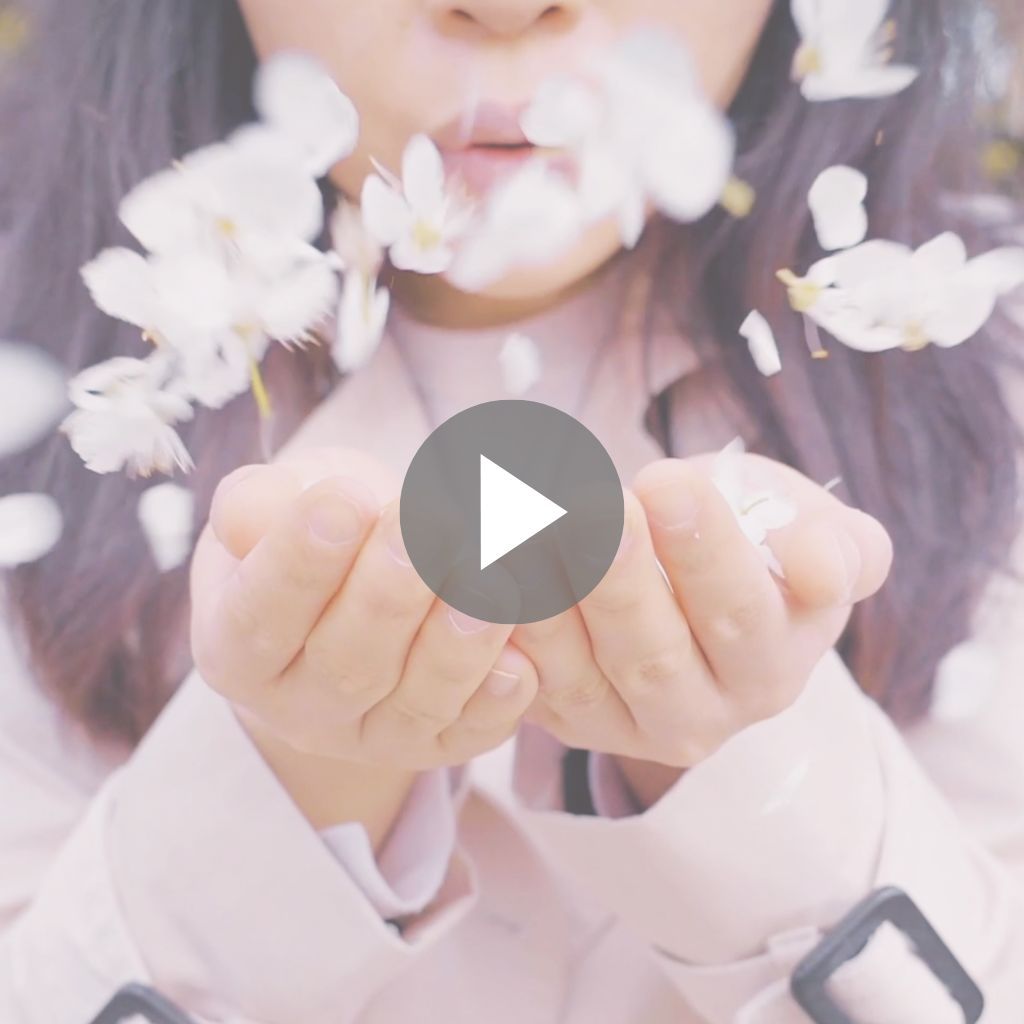Videos : Social Media & Advertising